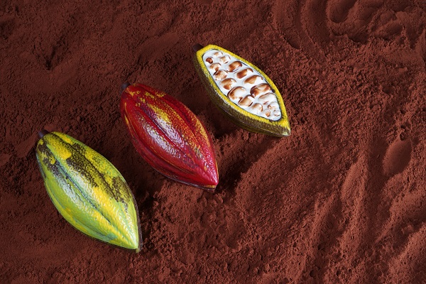 Poudre de cacao et fèves - Chocolaterie Puyodebat