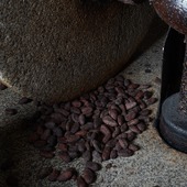 Les fèves sont sélectionnées pour leur qualité, les chocolats sont pur beurre de cacao, vanille bourbon en gousse et sucre. Les chocolats sont garantis sans lécithine de soja ni arôme ajouté. 🍫

#chocolatspuyodebat #latasseamoustache #museum #musée #musee #museeduchocolat #cacao #cacaocollective #cacaolove #cacaopuro #cacaopowder #cacaolovers #chocolat #chocolate #chocolatblanc #chocolatier #chocolatelovers #chocolates #chocolatelover #biarritz #bayonne #anglet #biarritzmaville #anglettourisme #bayonnemaville